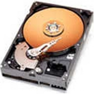 2TB SAS 7.2K RPM 3.5-Inch Hard Disk Drive/Hot Plug DR Drive