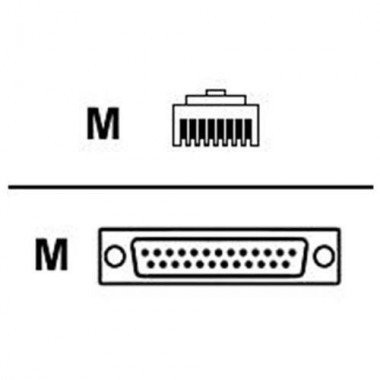 Cable Leg 48-inch Converts RJ45 to DB25-Male DCE