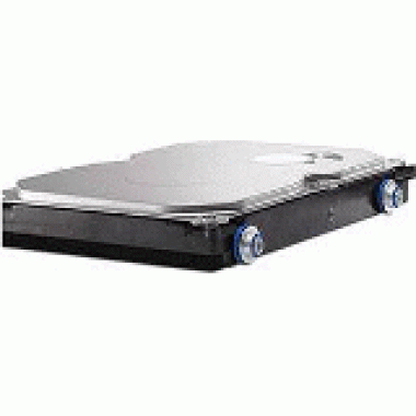 250GB 3G SATA 7.2k RPM 3.5-Inch Nety Hard Disk Drive