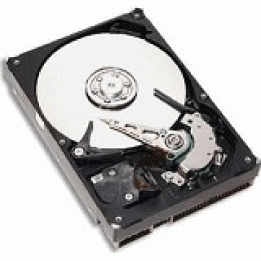 Serial ATA/300 Internal Hard Drive