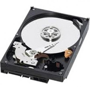 250GB 7.2k 6Gbps NL SATA 2.5-Inch SFF HS Hard Disk Drive