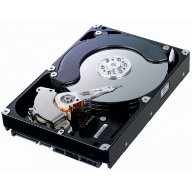 3TB SATA 7200 RPM 3.5-Inch 6Gbps for System X